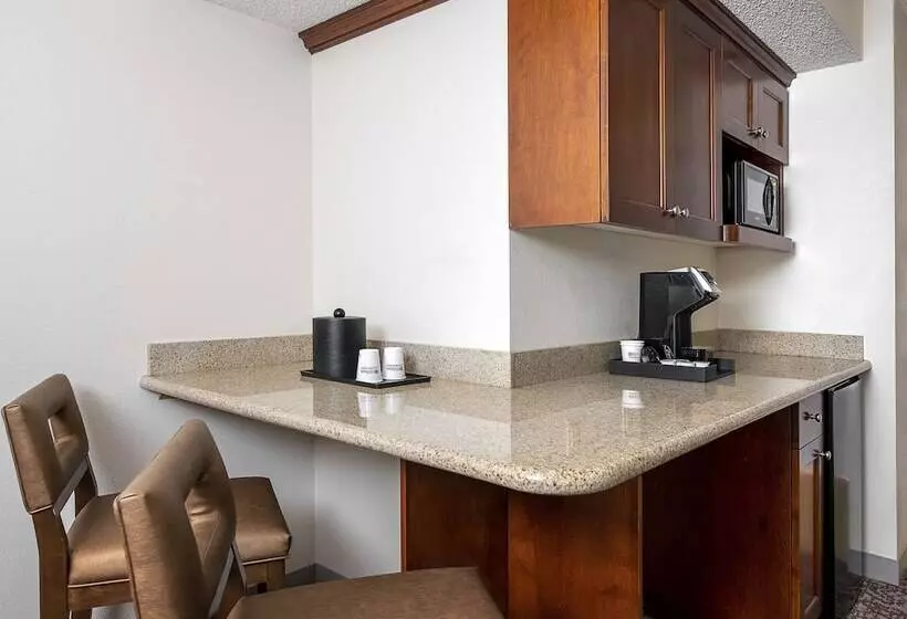 Sviitti, Hilton Garden Inn Cleveland Downtown