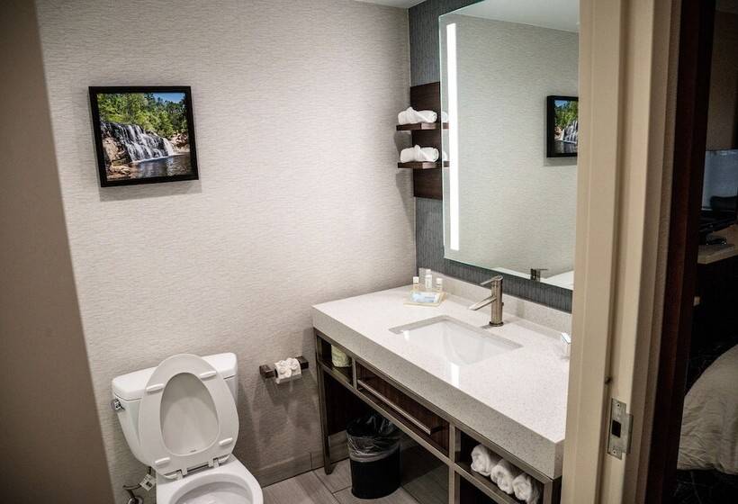 غرفة قياسية, Hilton Garden Inn Fayetteville Fort Liberty