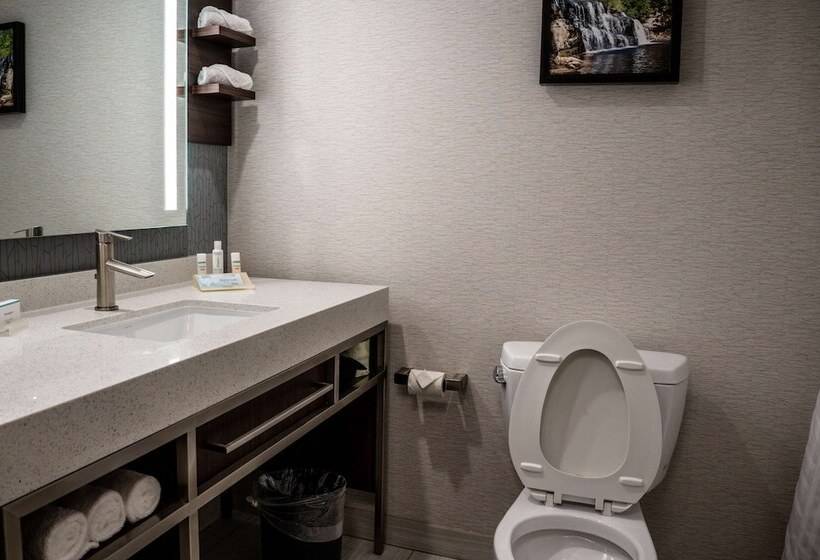 غرفة قياسية, Hilton Garden Inn Fayetteville Fort Liberty