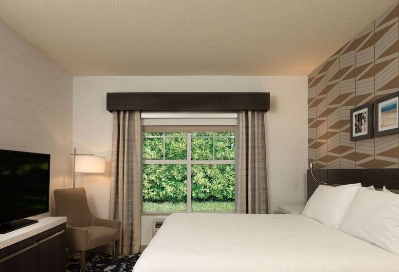 جناح سرير كينج, Hilton Garden Inn Freeport Downtown