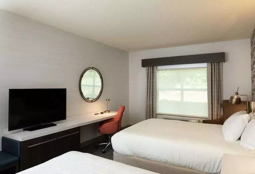 身障者適用スタンダードルーム, Hilton Garden Inn Freeport Downtown