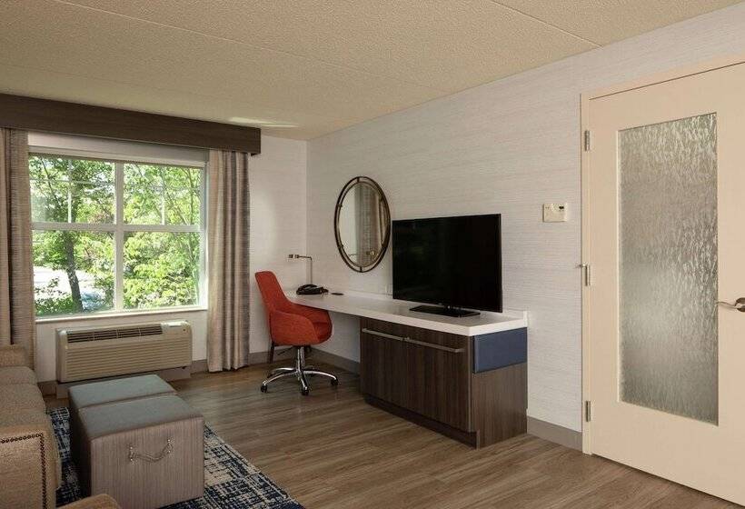 غرفة قياسية لذوى الاحتياجات الخاصة, Hilton Garden Inn Freeport Downtown