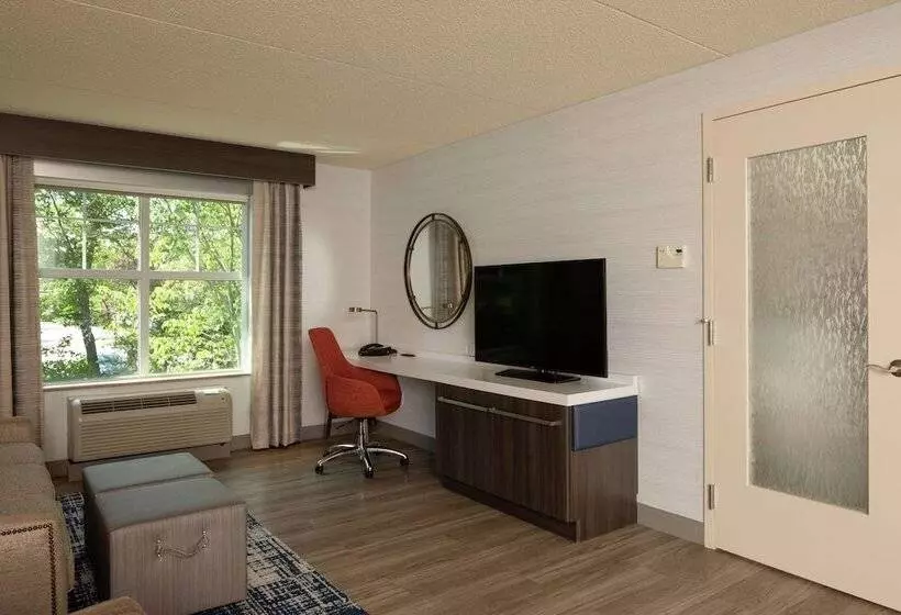 身障者適用スタンダードルーム, Hilton Garden Inn Freeport Downtown
