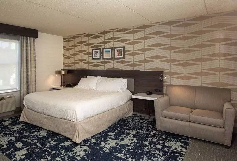 身障者適用スタンダードルーム, Hilton Garden Inn Freeport Downtown