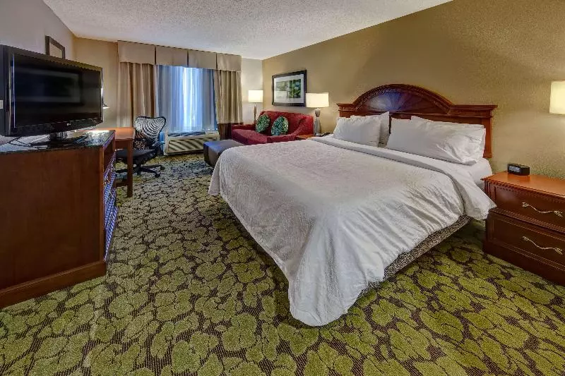 キングサイズベッドのスタンダードルーム, Hilton Garden Inn Indianapolis Northeast/fishers