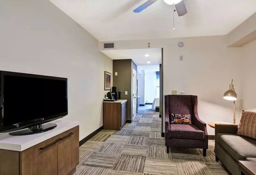 スイート, Hilton Garden Inn Mobile East Bay / Daphne