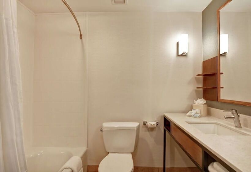 Номер Стандарт, Hilton Garden Inn Mobile East Bay / Daphne