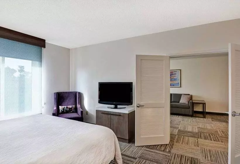 スイート, Hilton Garden Inn Mobile East Bay / Daphne