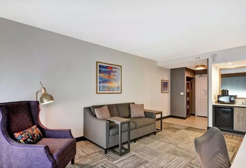 スイート, Hilton Garden Inn Mobile East Bay / Daphne