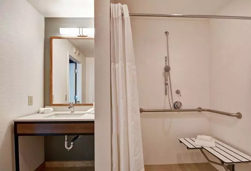身障者適用スタンダードルーム, Hilton Garden Inn Mobile East Bay / Daphne