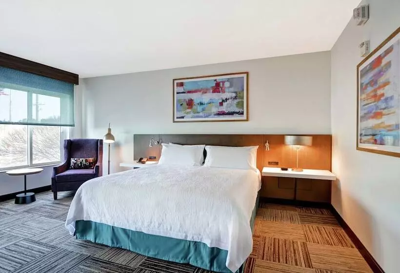 身障者適用スタンダードルーム, Hilton Garden Inn Mobile East Bay / Daphne