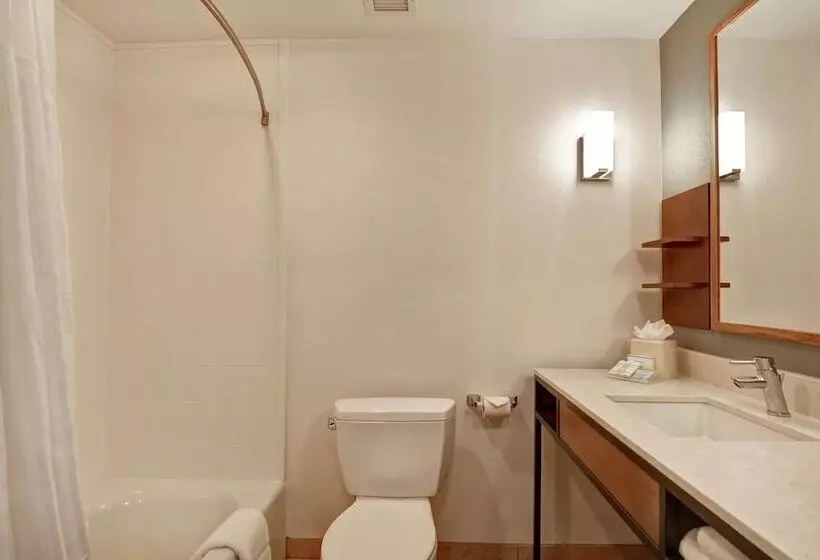 身障者適用スタンダードルーム, Hilton Garden Inn Mobile East Bay / Daphne