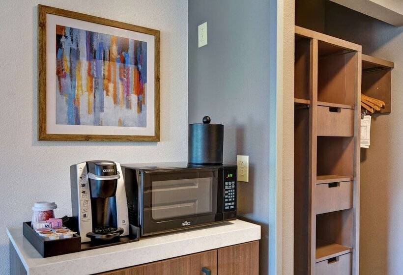 Номер Стандарт Адаптированный для Инвалидов, Hilton Garden Inn Mobile East Bay / Daphne