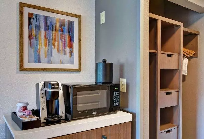 身障者適用スタンダードルーム, Hilton Garden Inn Mobile East Bay / Daphne