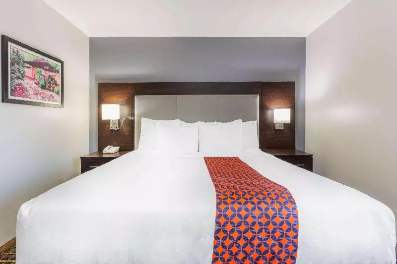 スタンダードルーム, Hilton Garden Inn Tampa Airport Westshore