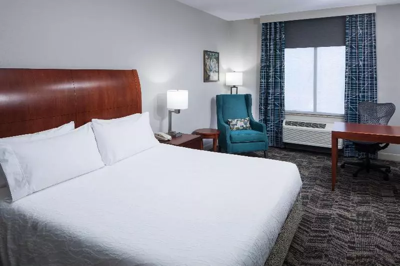 キングサイズベッドのスタンダードルーム, Hilton Garden Inn Tucson Airport