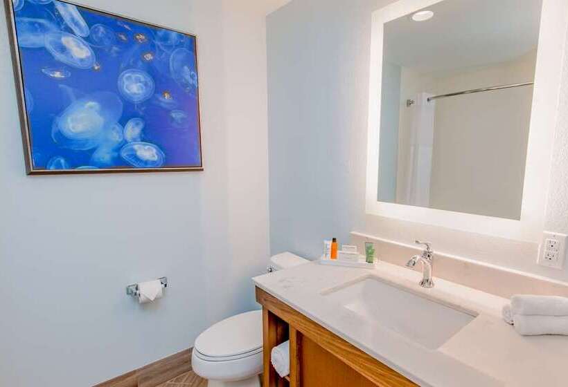 חדר סטנדרט, Hilton Pensacola Beach