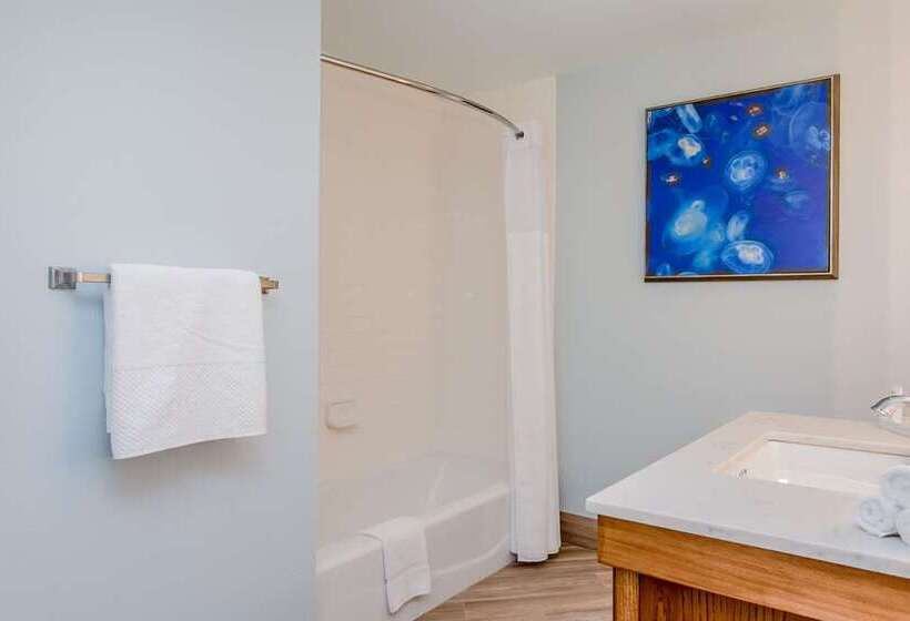 חדר סטנדרט, Hilton Pensacola Beach