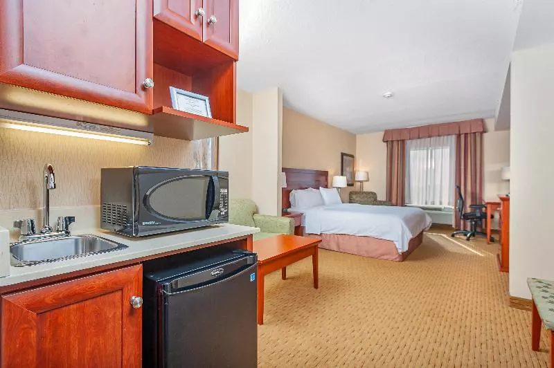 キングサイズベッドのスイートルーム, Holiday Inn Express Hotel & Suites Clarington   Bowmanville, An Ihg