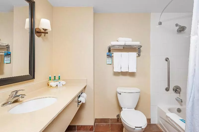 キングサイズベッドのスイートルーム, Holiday Inn Express Hotel & Suites Clarington   Bowmanville, An Ihg