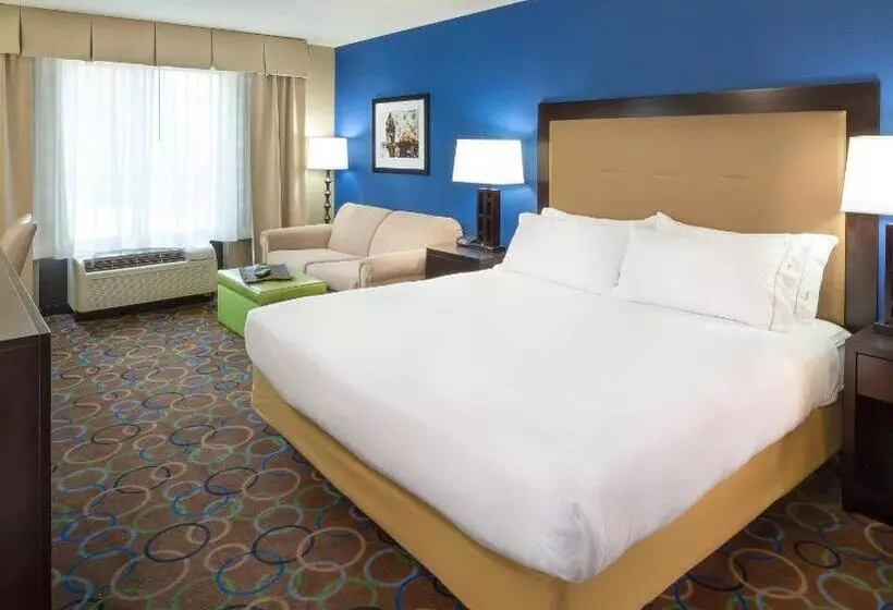 اتاق استاندارد با تخت بزرگ, Holiday Inn Express Hotel & Suites Manchester   Airport, An Ihg