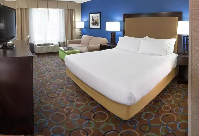 اتاق اجرایی با تخت بزرگ, Holiday Inn Express Hotel & Suites Manchester   Airport, An Ihg