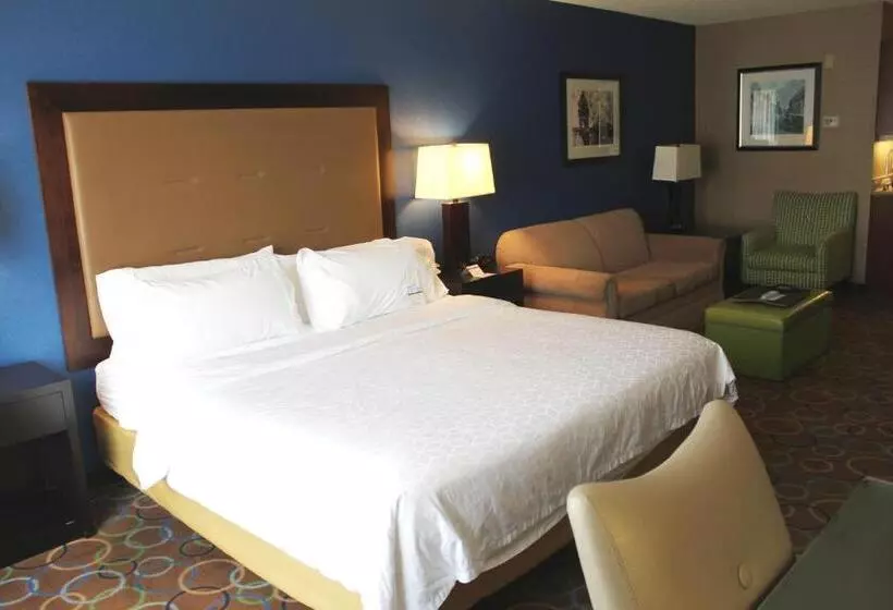 اتاق استاندارد با تخت بزرگ برای معلولان, Holiday Inn Express Hotel & Suites Manchester   Airport, An Ihg