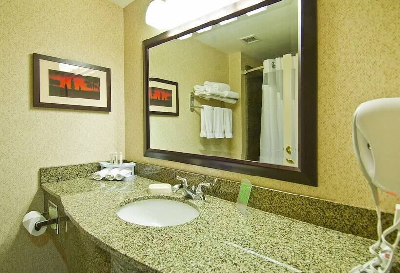 スイート, Holiday Inn Express & Suites Oro Valley Tucson North, An Ihg