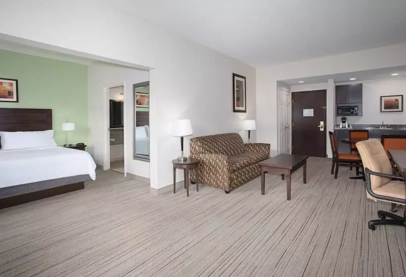 ハイドロマッサージバス付きスイート, Holiday Inn Express & Suites Oro Valley Tucson North, An Ihg