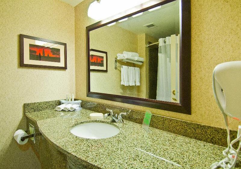 스위트 킹사이즈 침대, Holiday Inn Express & Suites Oro Valley Tucson North, An Ihg
