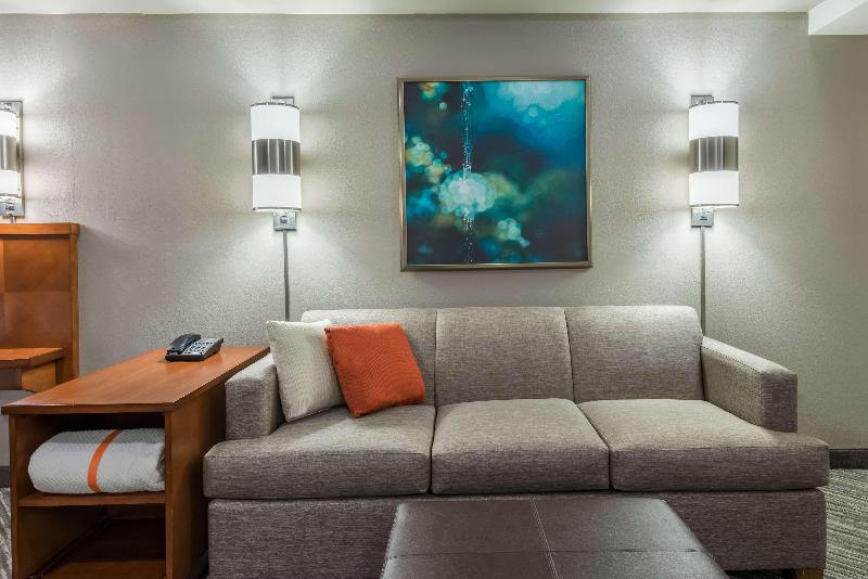 스탠다드 룸 킹사이즈 침대, Hyatt Place Rogers/bentonville