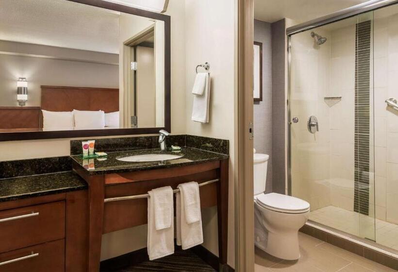 스탠다드 룸 킹사이즈 침대, Hyatt Place Rogers/bentonville