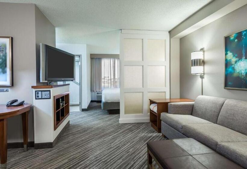 스탠다드 룸 킹사이즈 침대, Hyatt Place Rogers/bentonville