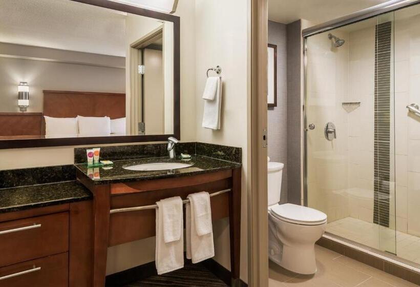 带大床的标准间, Hyatt Place Rogers/bentonville