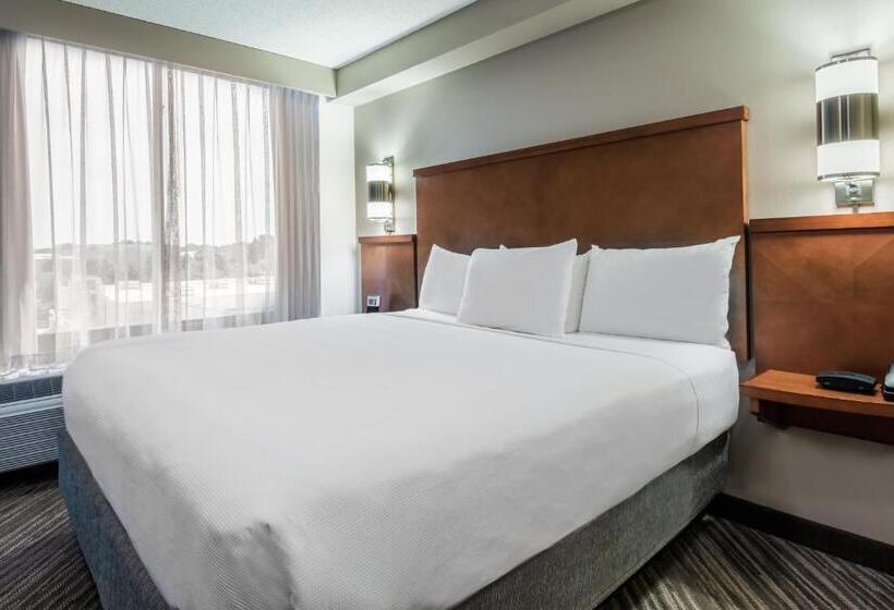 스탠다드 룸 킹사이즈 침대, Hyatt Place Rogers/bentonville