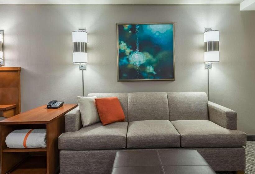 带大床的标准间, Hyatt Place Rogers/bentonville