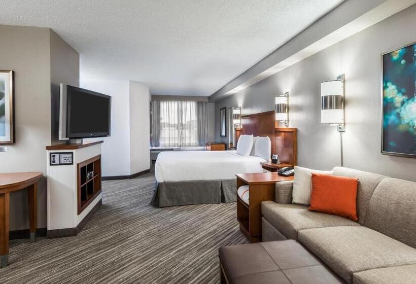 장애인을 위한 킹사이즈 침대 스탠다드 룸, Hyatt Place Rogers/bentonville