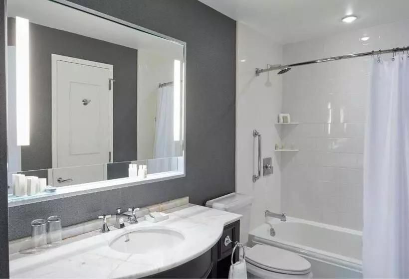 اتاق استاندارد با تخت بزرگ, Renaissance Providence Downtown