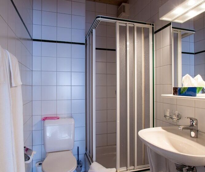 Номер Стандарт Индивидуальный, Seminarhotel Linde Stettlen