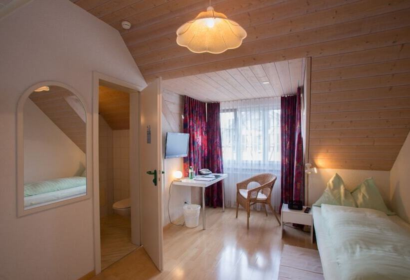 اتاق استاندارد یک نفره, Seminarhotel Linde Stettlen