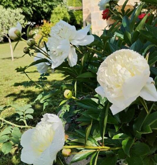 Номер Стандарт, Chambre Dans Prieuré De Caractère Xviii Siècle