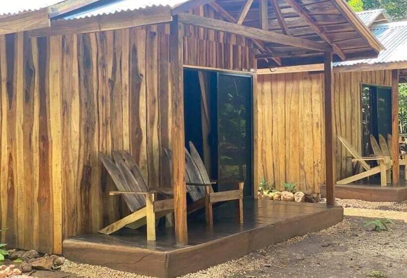 غرفة قياسية, Finca Avellanas