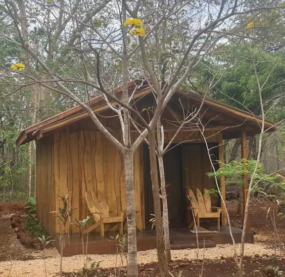 スタンダードルーム, Finca Avellanas