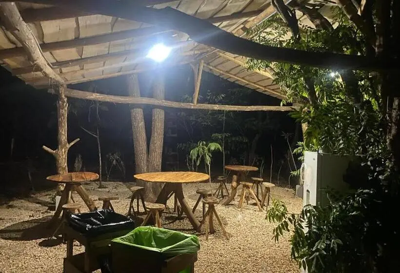 スタンダードルーム, Finca Avellanas