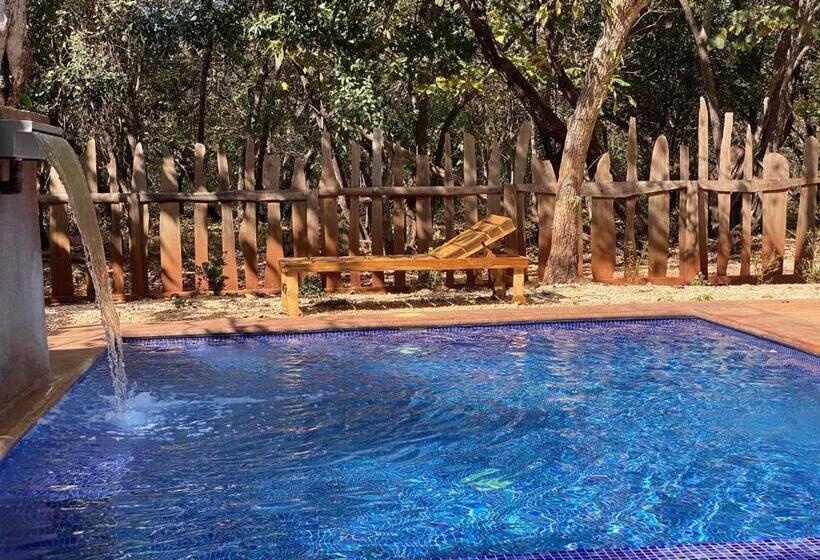 غرفة قياسية, Finca Avellanas