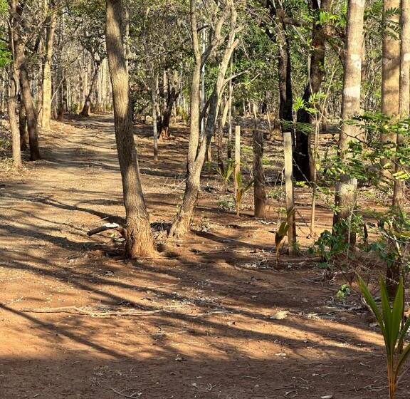 غرفة قياسية, Finca Avellanas