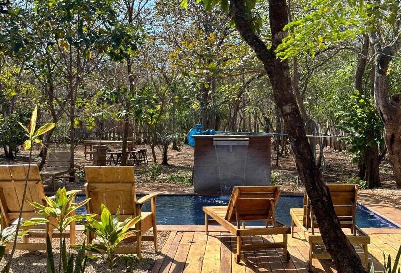 غرفة قياسية, Finca Avellanas