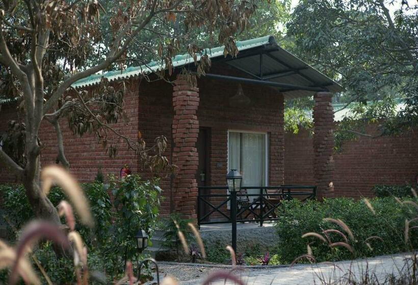 غرفة قياسية مزوَّدة بشُرفة, Mango Tree Resorts