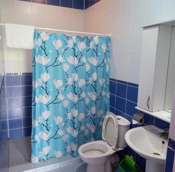 豪华工作室, готель у свата гришківці бердичівський р н