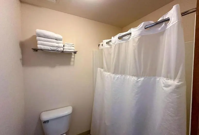 スタンダードシングルルーム, Camp 28